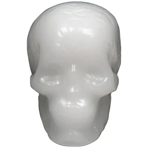 Andale Wax skull white