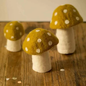 Champignon Dotty de Muskhane