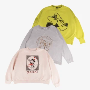Box de 20 sweat-shirts Disney