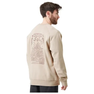 Picture Organic Clothing - Terra Crew Plaza Taupe